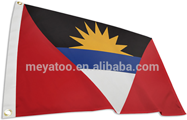 China Cheap Pole Spear, China Cheap Pole Spear Manufacturers - Flag (800x800), Png Download