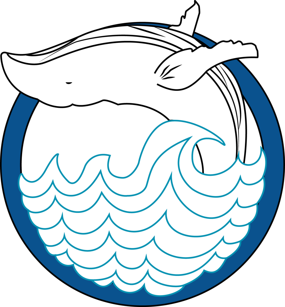 Blue Whale Png (1000x1077), Png Download