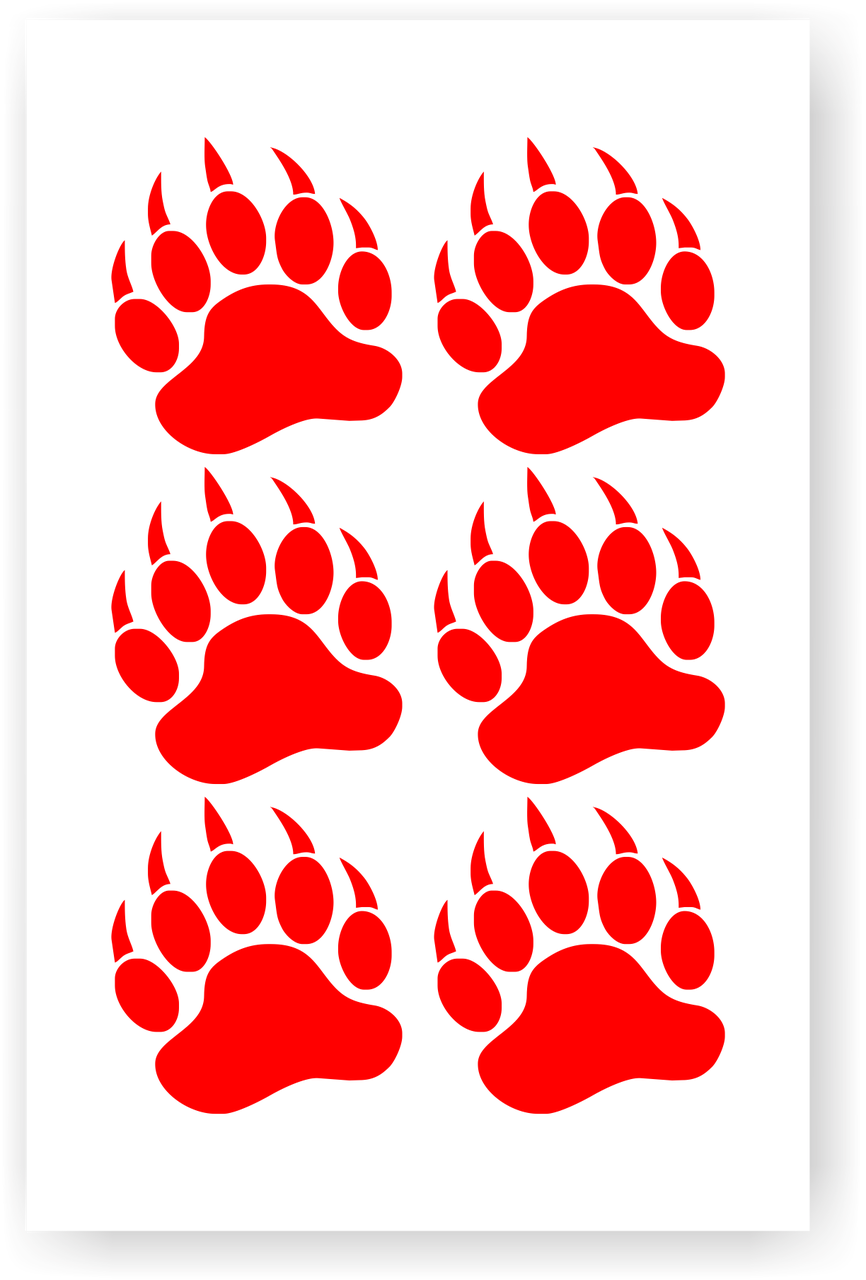 Hover Over Image To Zoom - Bear (866x1280), Png Download