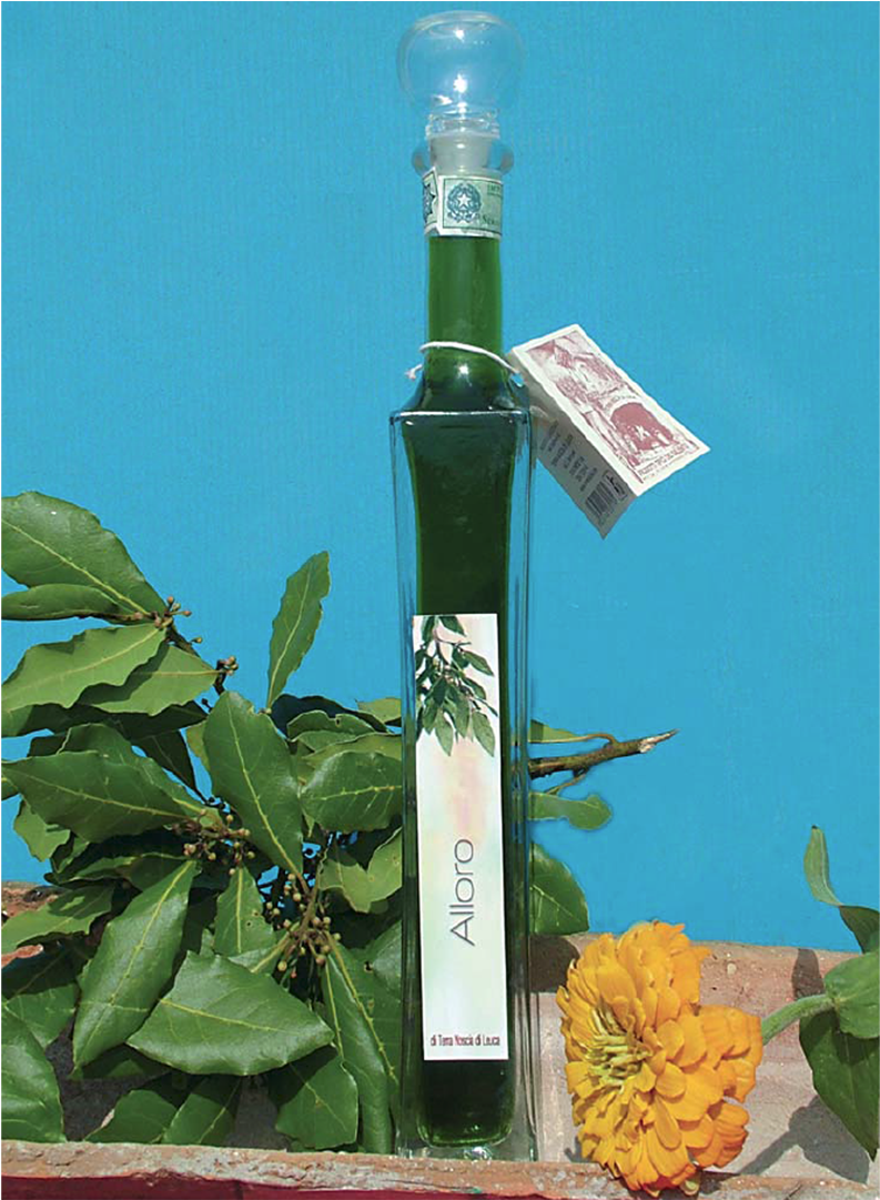 Liquor Alloro - Street Sign (1600x1080), Png Download