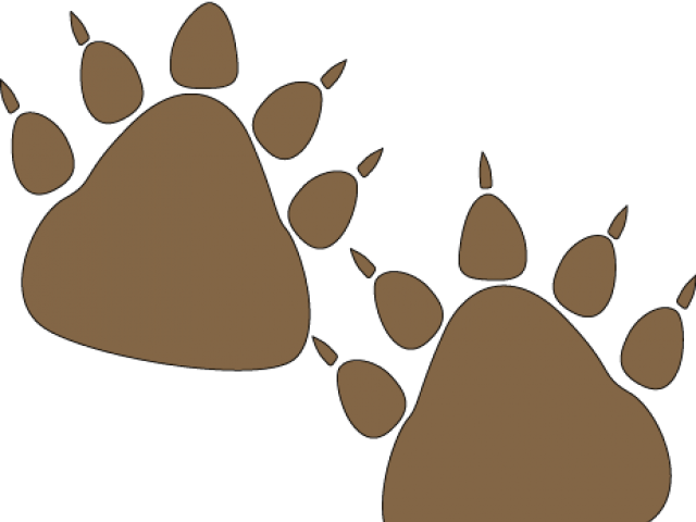 Claw Clipart Bearpaw - Bear Paw Prints Clipart (640x480), Png Download