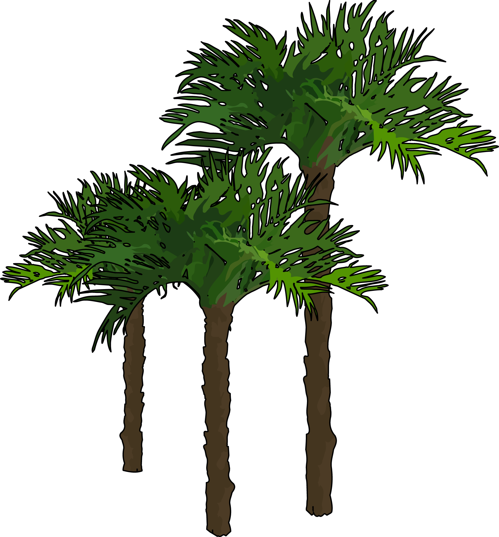 Palmeras - Palmeras Con Animales Png (1697x1826), Png Download