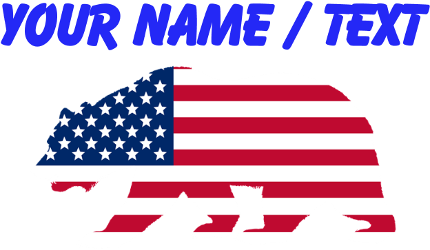 Favorite - Lion With American Flag (700x700), Png Download