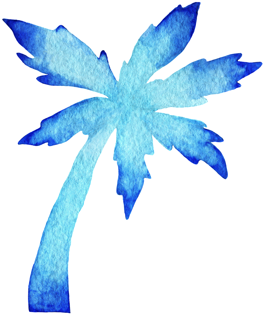 Palmera Png (1024x1177), Png Download