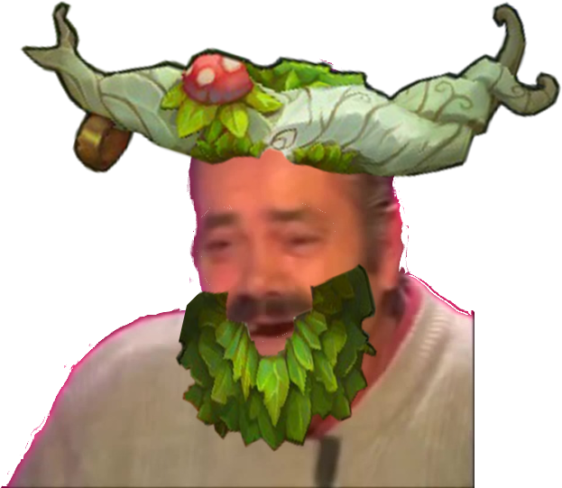 Bien Vu Http - Meme Issou League Of Legends (720x540), Png Download