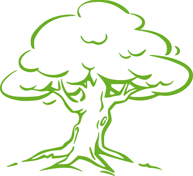 Shade Tree Cliparts - Oak Tree Easy Drawing (640x584), Png Download