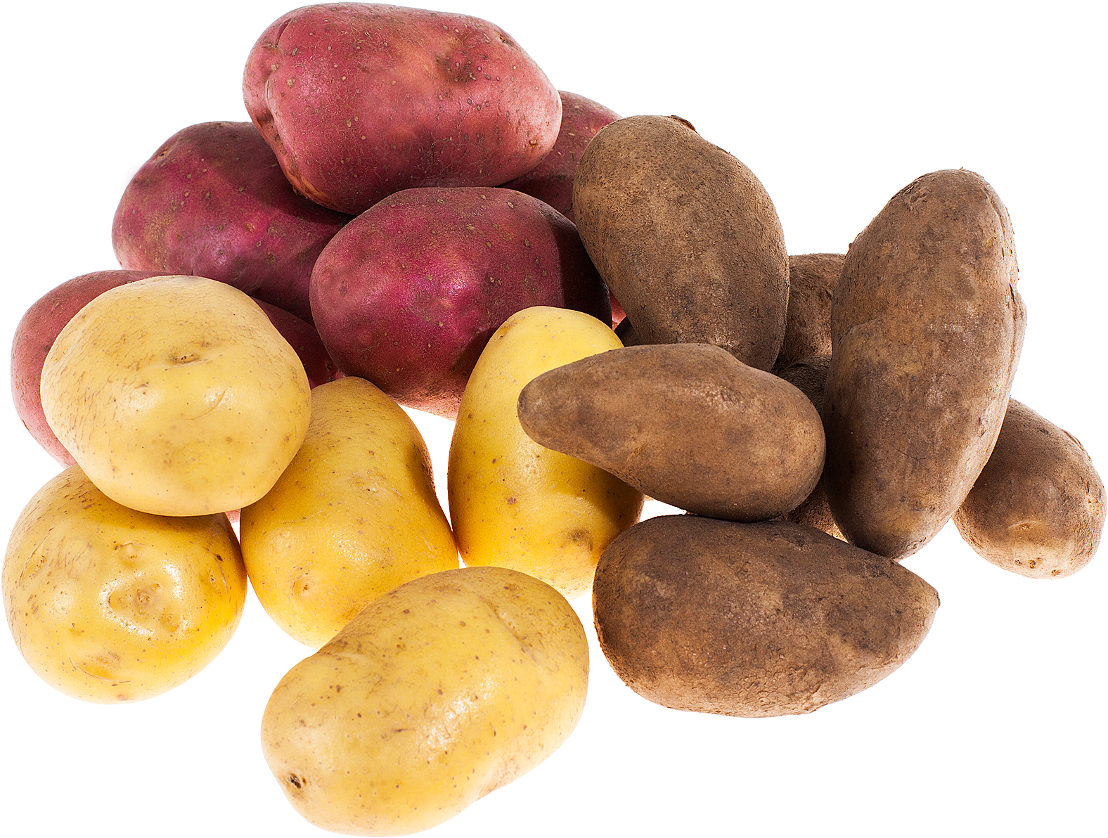 Types Of Potato ›› - Russet Burbank Potato (1600x1206), Png Download