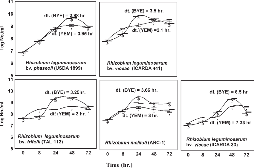 Comparision Of Growth Of Various Rhizobia Strains On - Diagram (850x564), Png Download