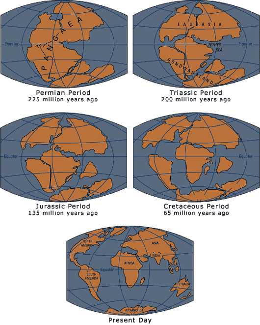 This Is When Pangaea Began To Break Apart And The Continents - Pangea 250 Years Ago (530x661), Png Download