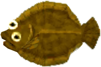 Download Zip Archive - Sole (750x650), Png Download