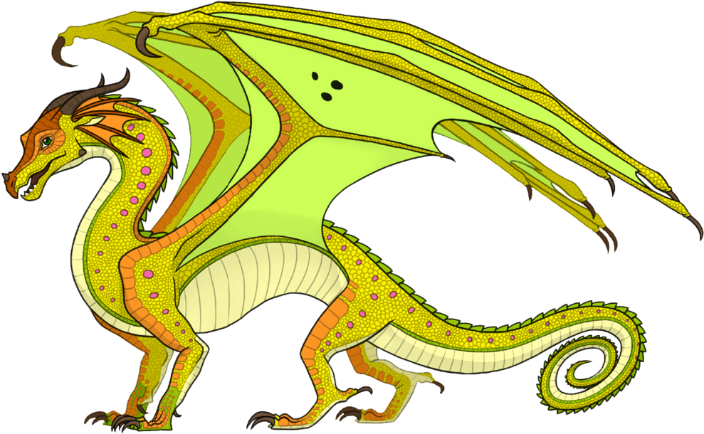 Animus Dragons - Rainwing Dragon Wings Of Fire (1000x624), Png Download