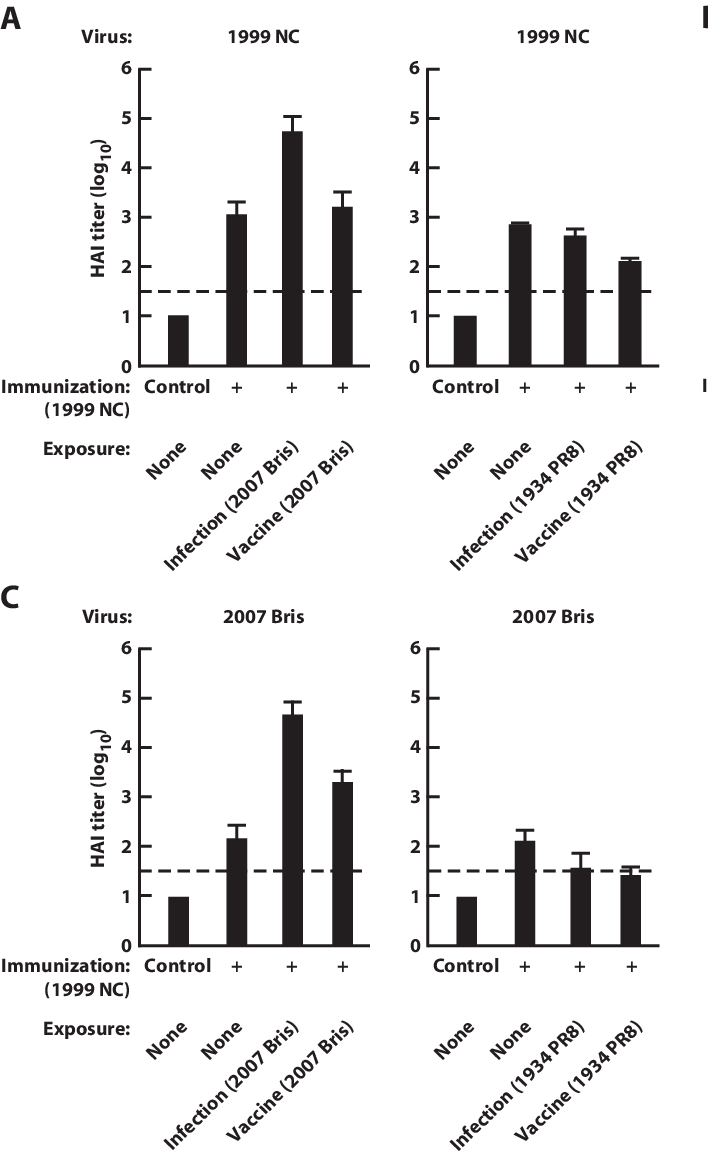 Hai Response In Uninfected, Previously Infected, Or - Diagram (708x1152), Png Download