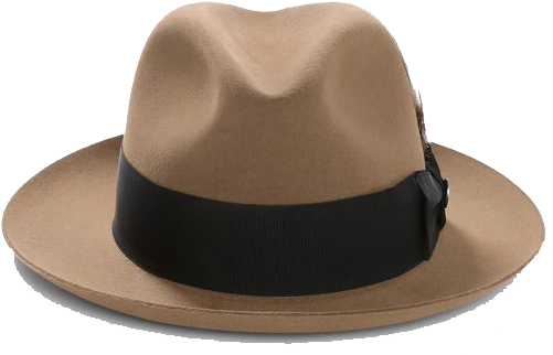 Fedora (540x708), Png Download