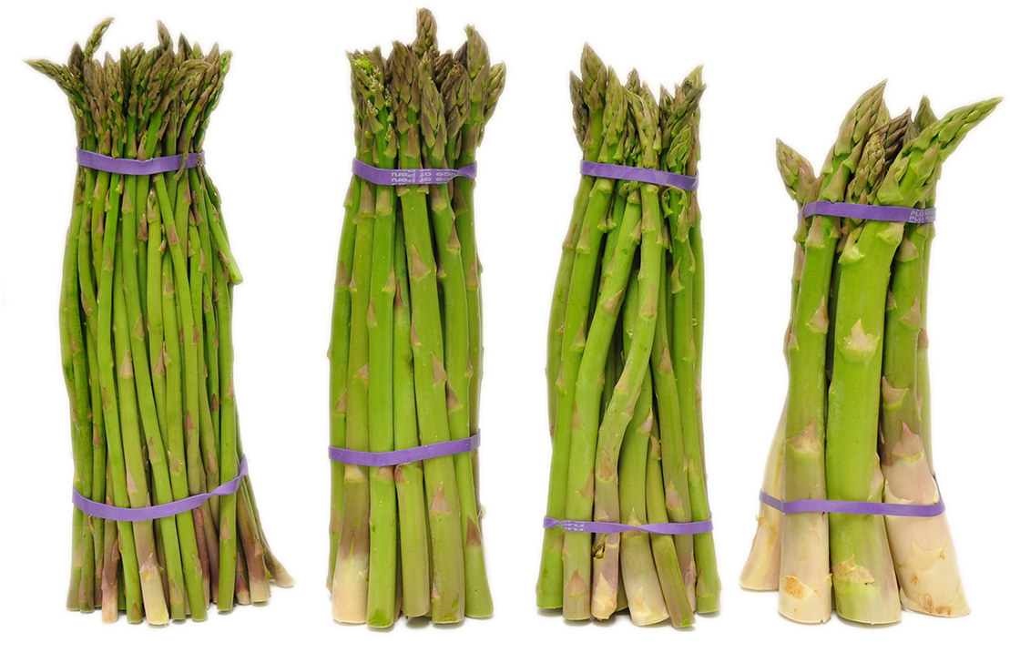 Search For -  -  - Asparagus (1200x798), Png Download