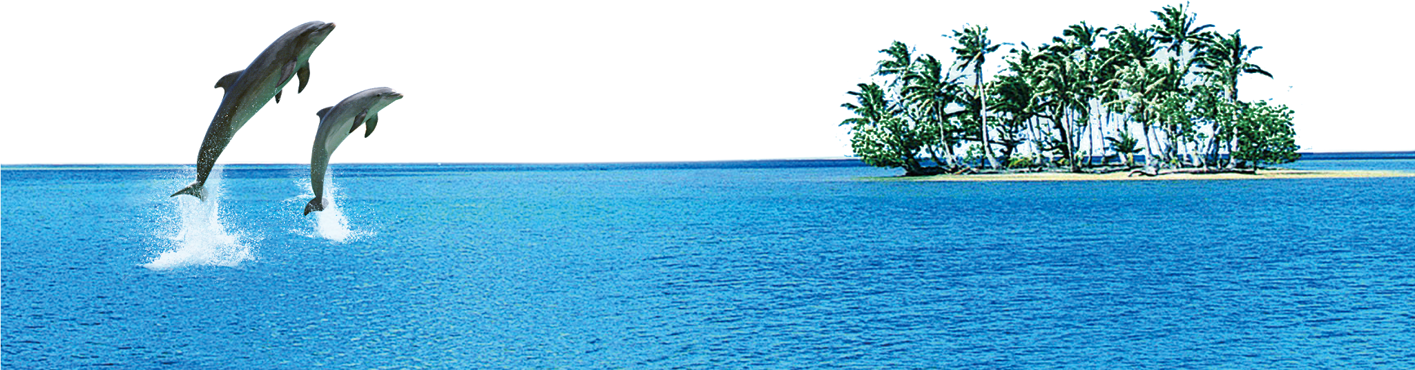 Dolphin Images Free Downloads - Sea Dolphin Png (2048x1070), Png Download