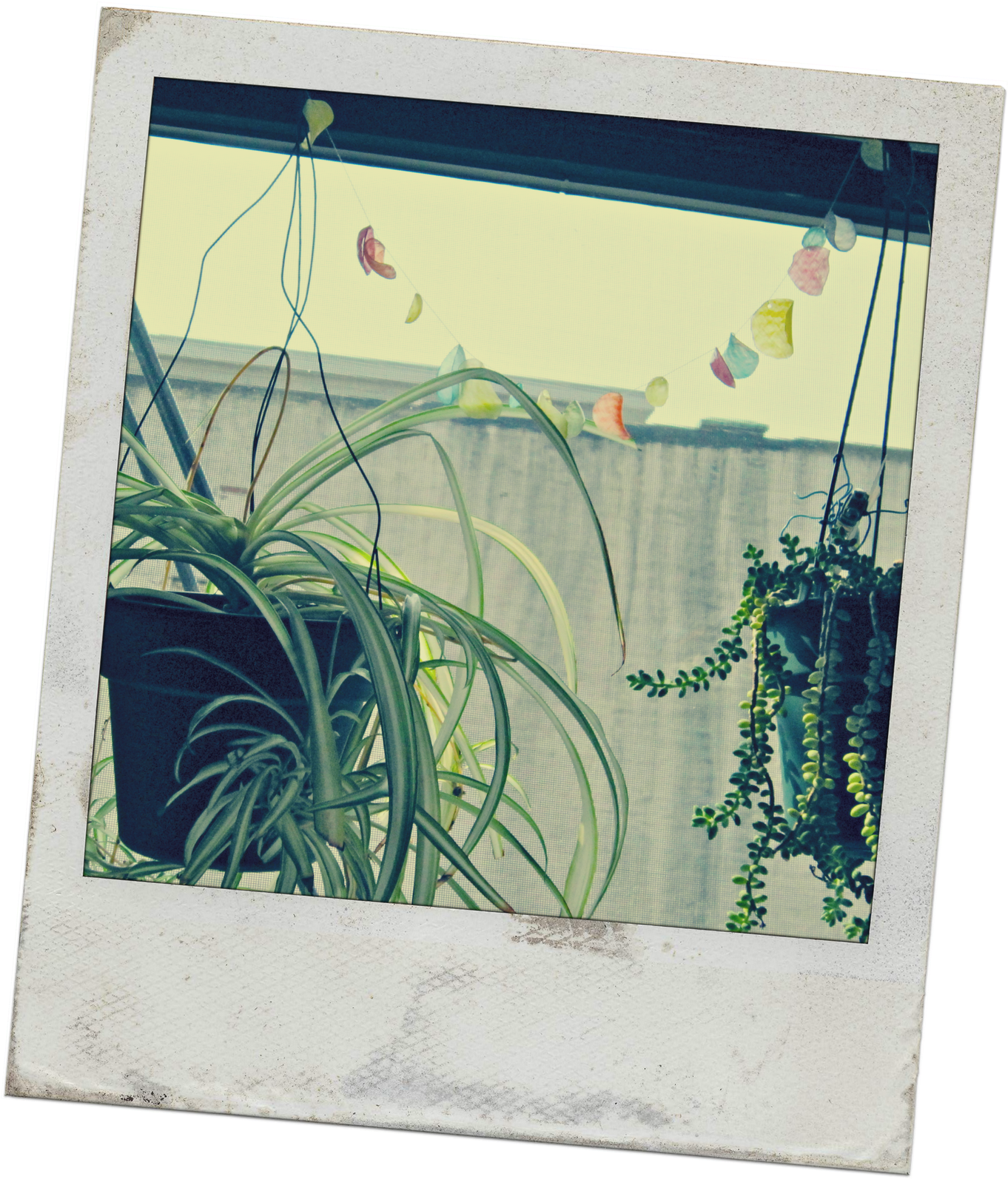 Picture Frame (1369x1600), Png Download