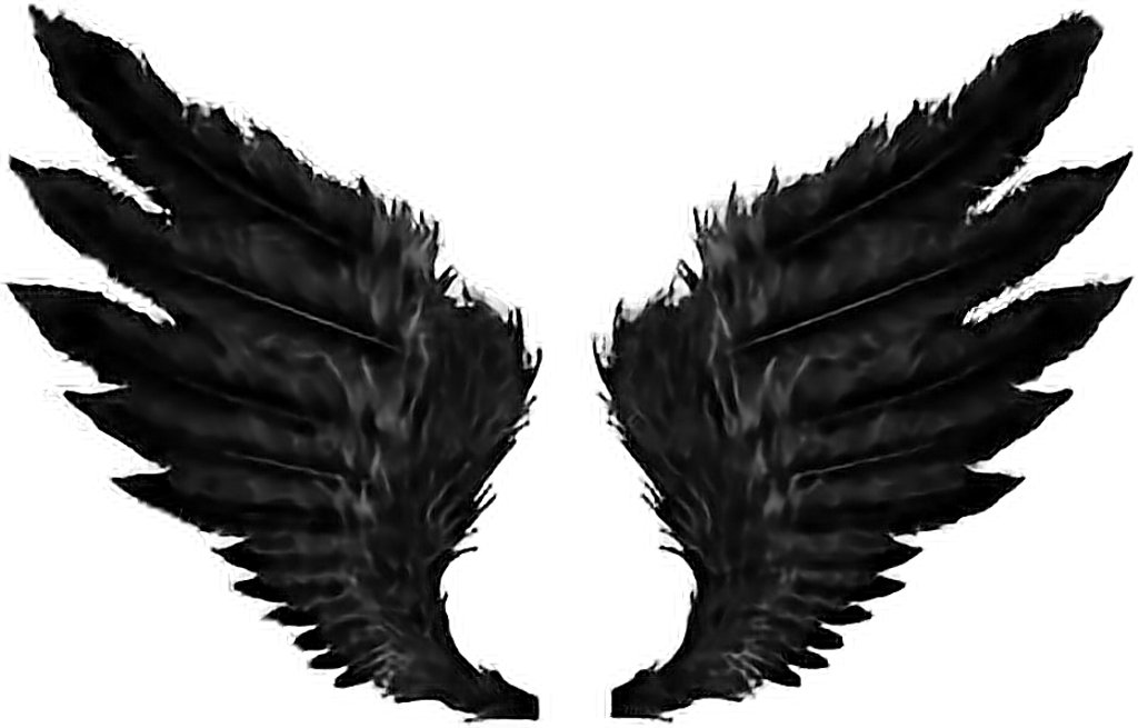Wings Sticker - Black Angel Wings Png (1024x655), Png Download
