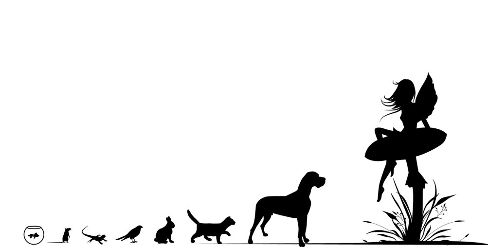 Services - Fairy Dogmother (1200x607), Png Download