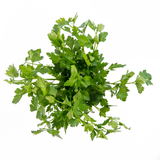 Flat Parsley - Parsley (653x653), Png Download