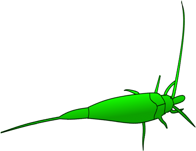Grasshopper Clipart Dead - Dead Grasshopper Cartoon (880x743), Png Download
