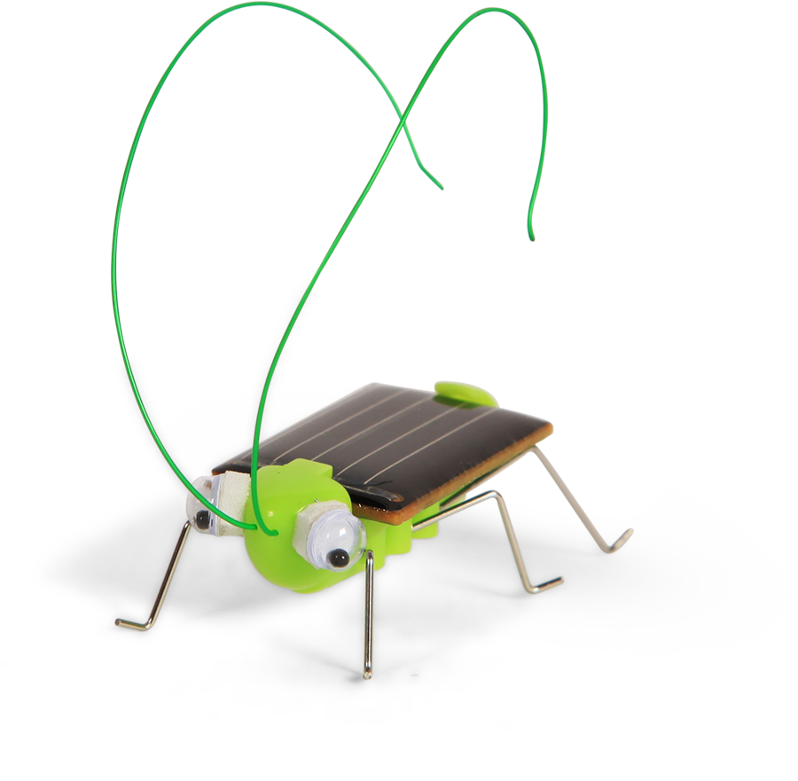 Solar Grasshopper Solar Grasshopper - Insect (900x881), Png Download
