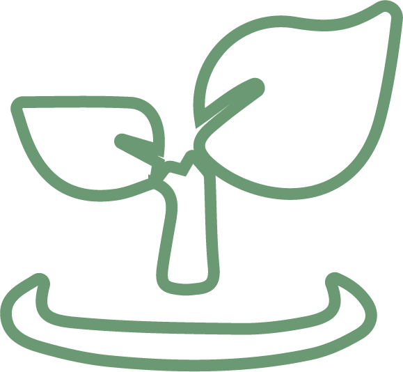 Leaf Outline (579x534), Png Download