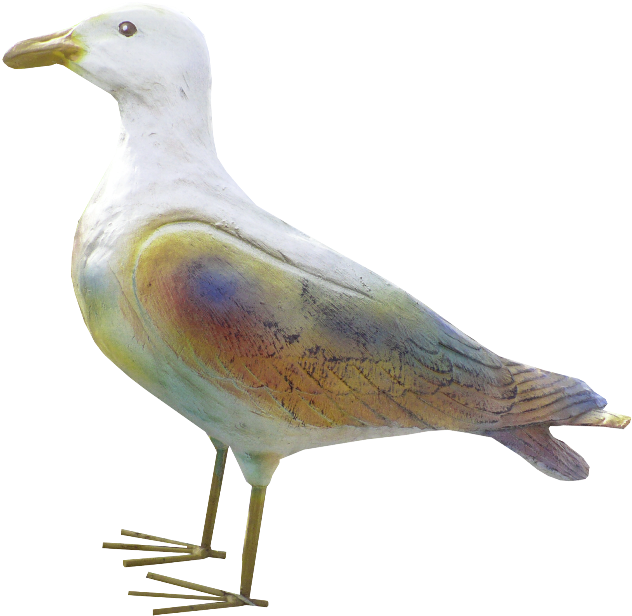 Seagulls - European Herring Gull (650x639), Png Download