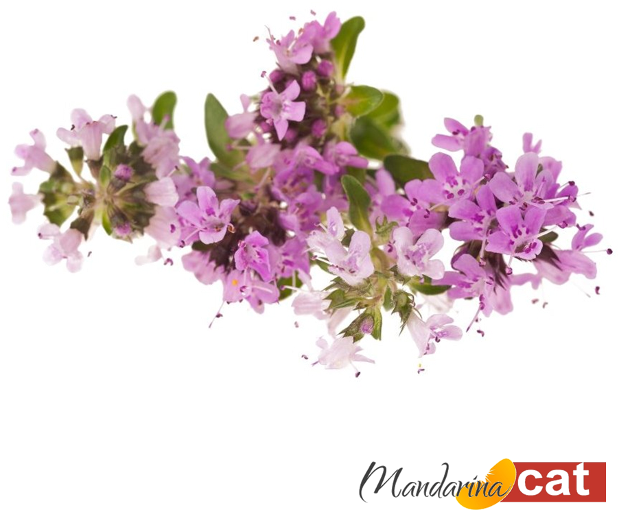 Cachos De Flores Png (941x938), Png Download