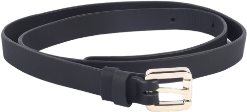 Buckle (700x467), Png Download