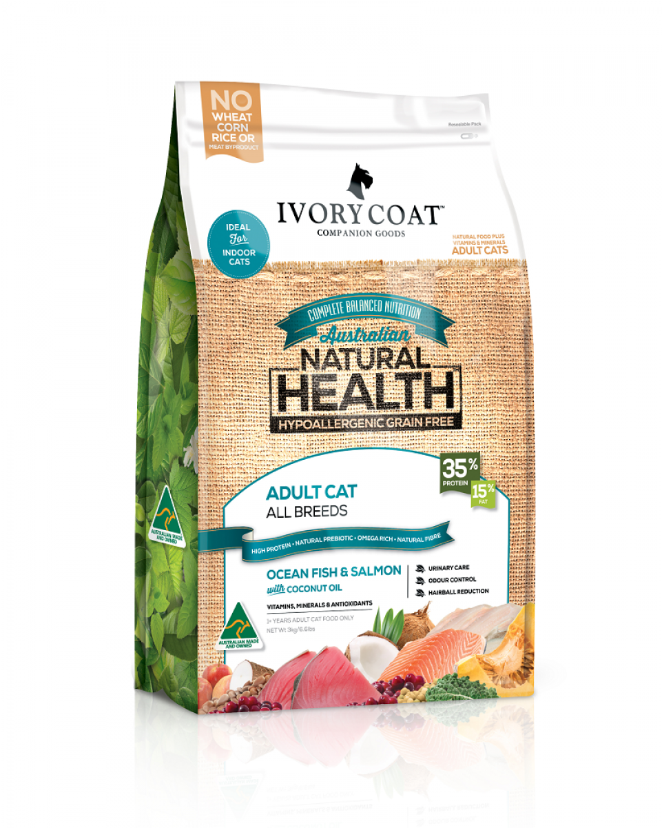 More Views - Ivory Coat Kitten (1200x1200), Png Download