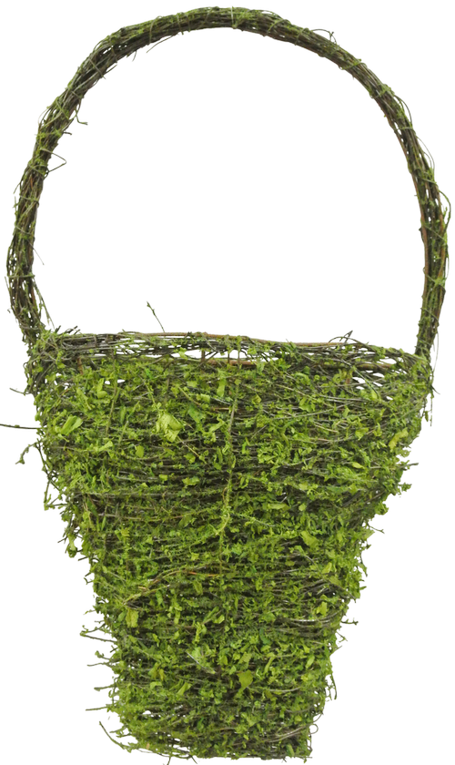 59807 - Moss (500x840), Png Download
