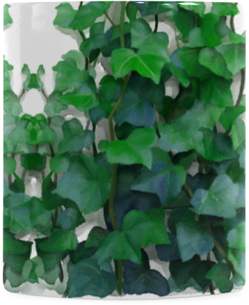 Violet Woodsorrel (800x800), Png Download