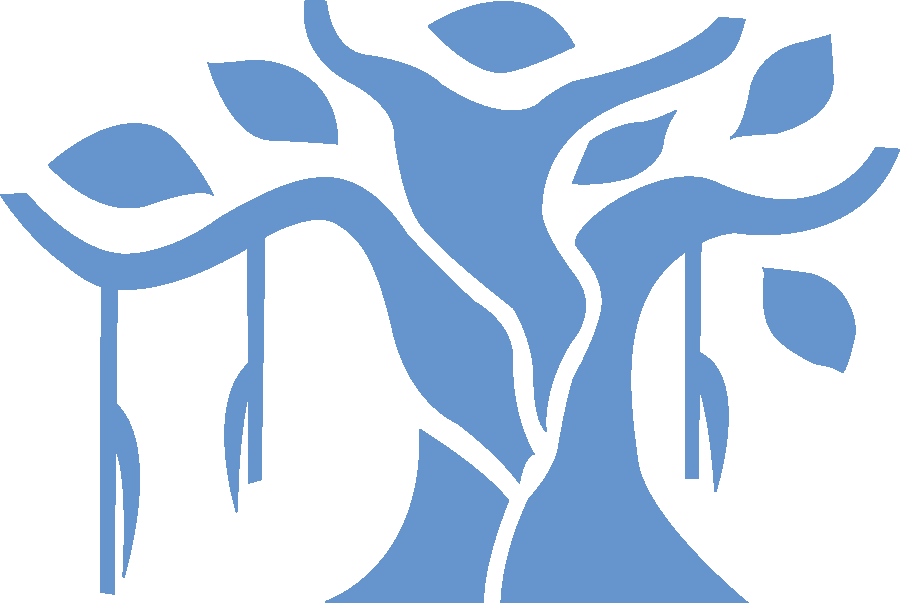 Banyan (900x603), Png Download