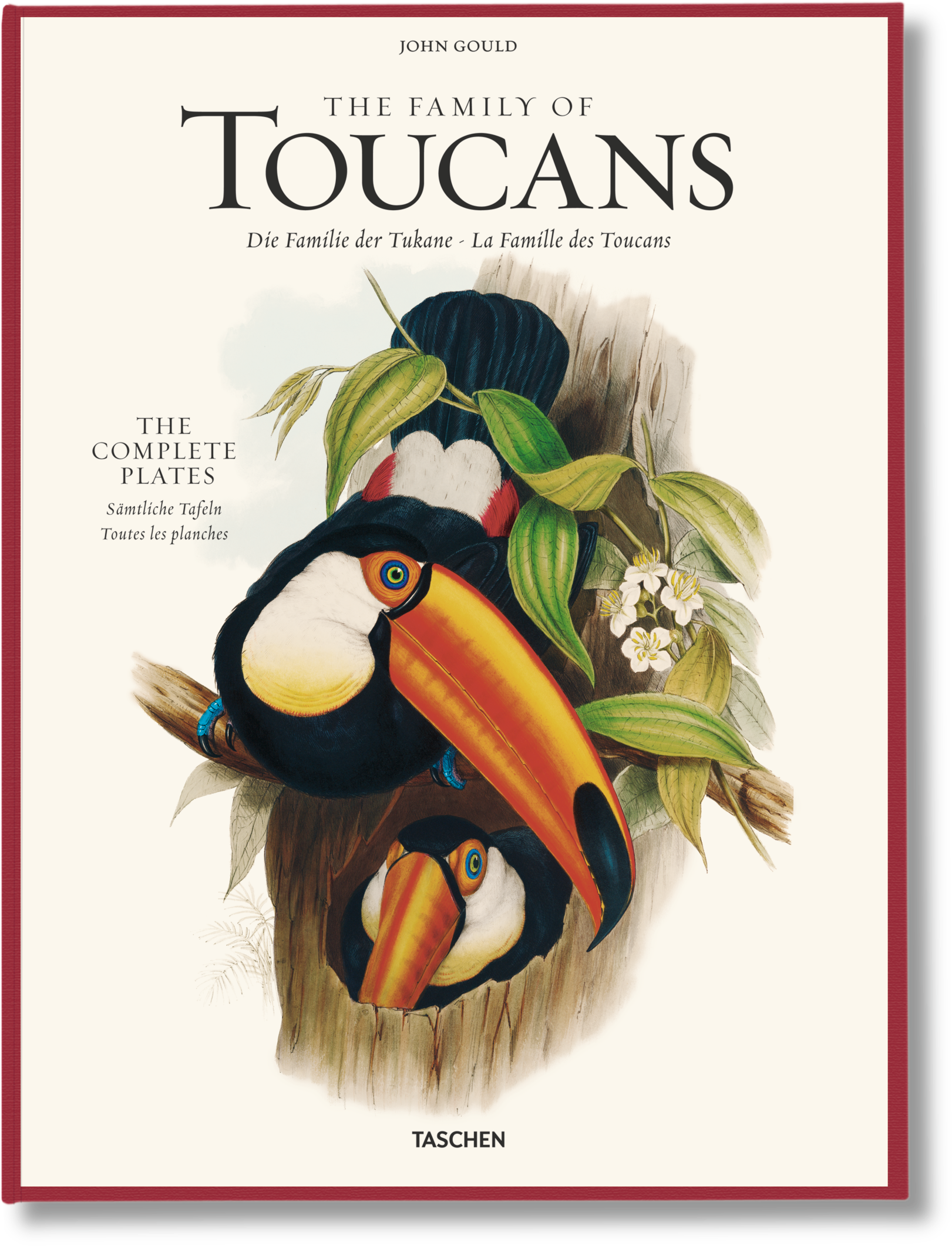 The Family Of Toucans - John Gould The Family Of Toucans (1640x2147), Png Download