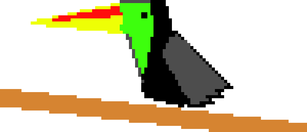 Toucan - Penguin (1000x430), Png Download