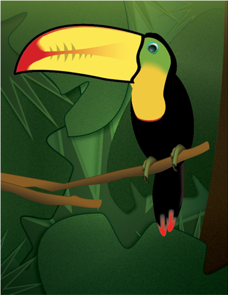 Download Toucan & Gradients Exercise Adobe Illustrator Illustration ...