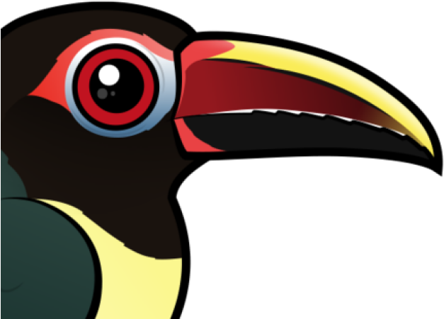 Toucan (640x480), Png Download