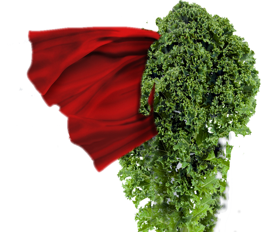 My Time For Little Reward, But Today I Really Wanted - Kale Powder - Organic 5 Lbs (1024x768), Png Download