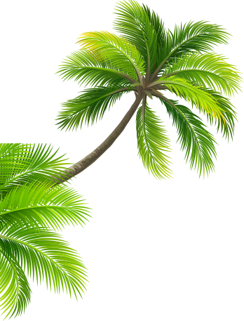 Coconuttree - Zuihomepaper-contemporaty 3d Wam Paper Wam Covering (348x457), Png Download