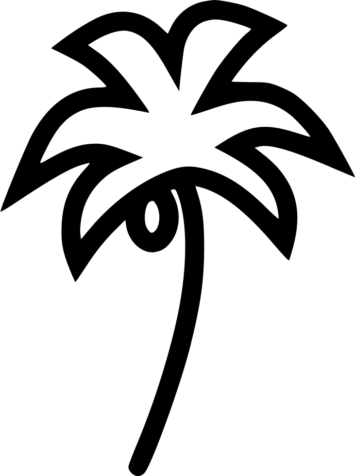Coconut Trees - - Icon (731x980), Png Download