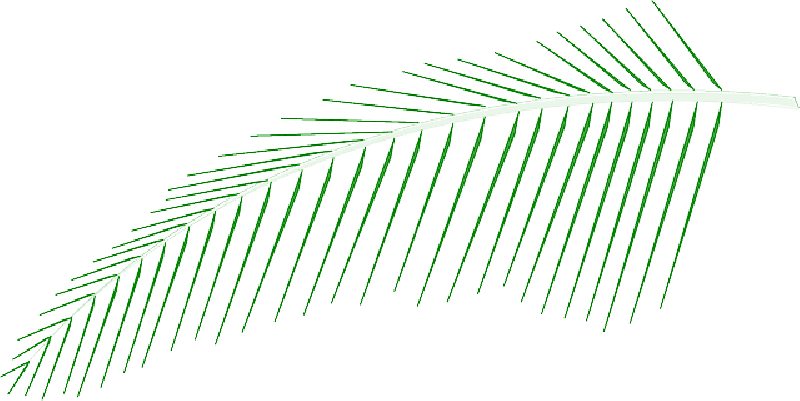 Mb Image/png - Coconut (800x401), Png Download