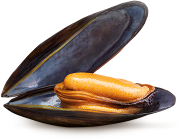 Mussels - Mejillon Png (480x320), Png Download