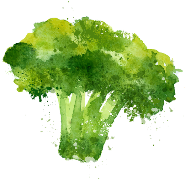 Waltham 29 Broccoli - Stock Illustration (600x600), Png Download