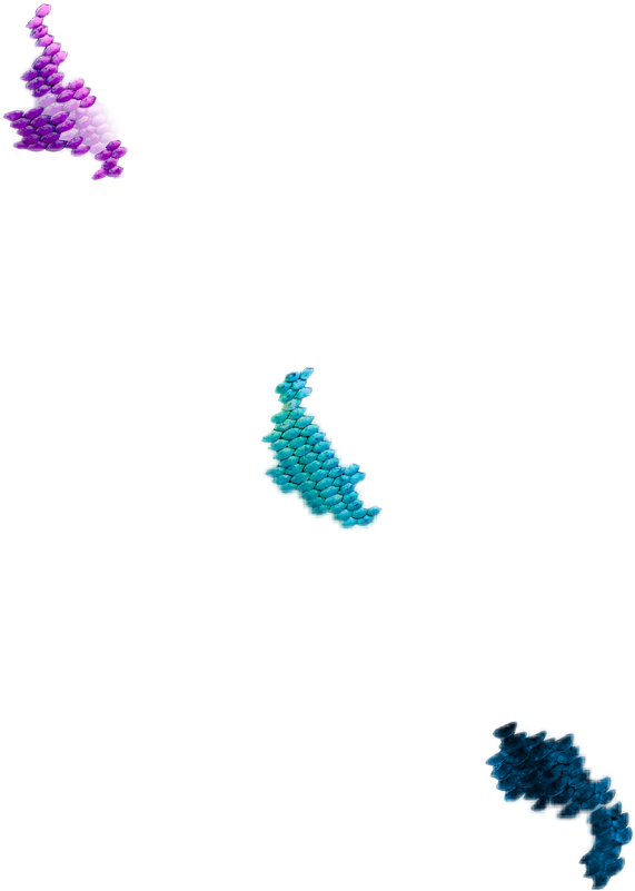 Report Abuse - Seahorse (571x801), Png Download