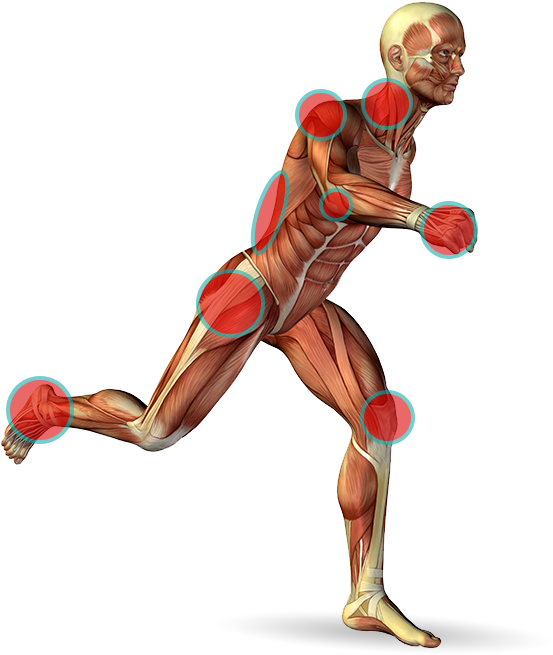 Orthopedic Body (650x680), Png Download