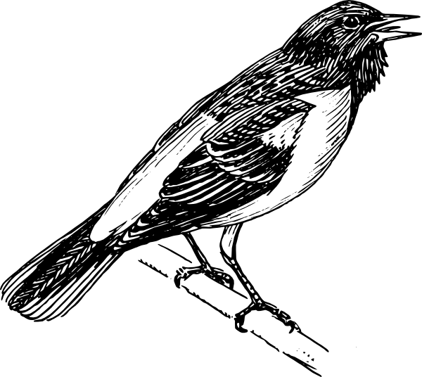 Original Png Clip Art File Singing Bird Svg Images (600x536), Png Download