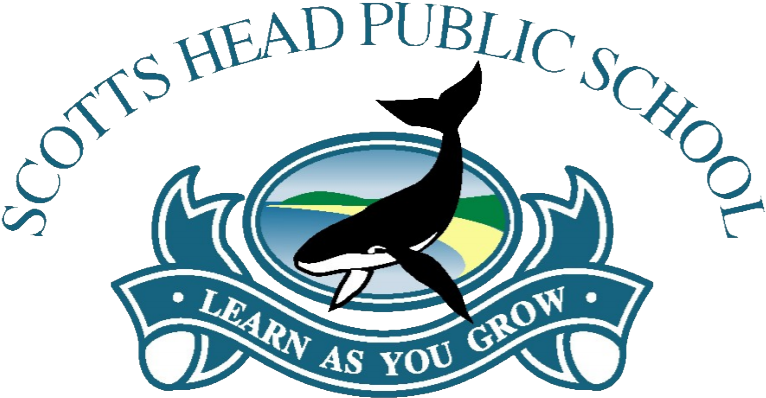 Scotts Head Public School (781x882), Png Download