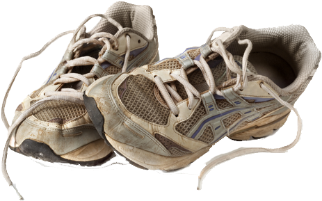Daily - Run Hobble Rum Run [book] (500x334), Png Download
