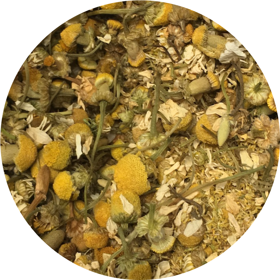 Chamomile (1000x1000), Png Download
