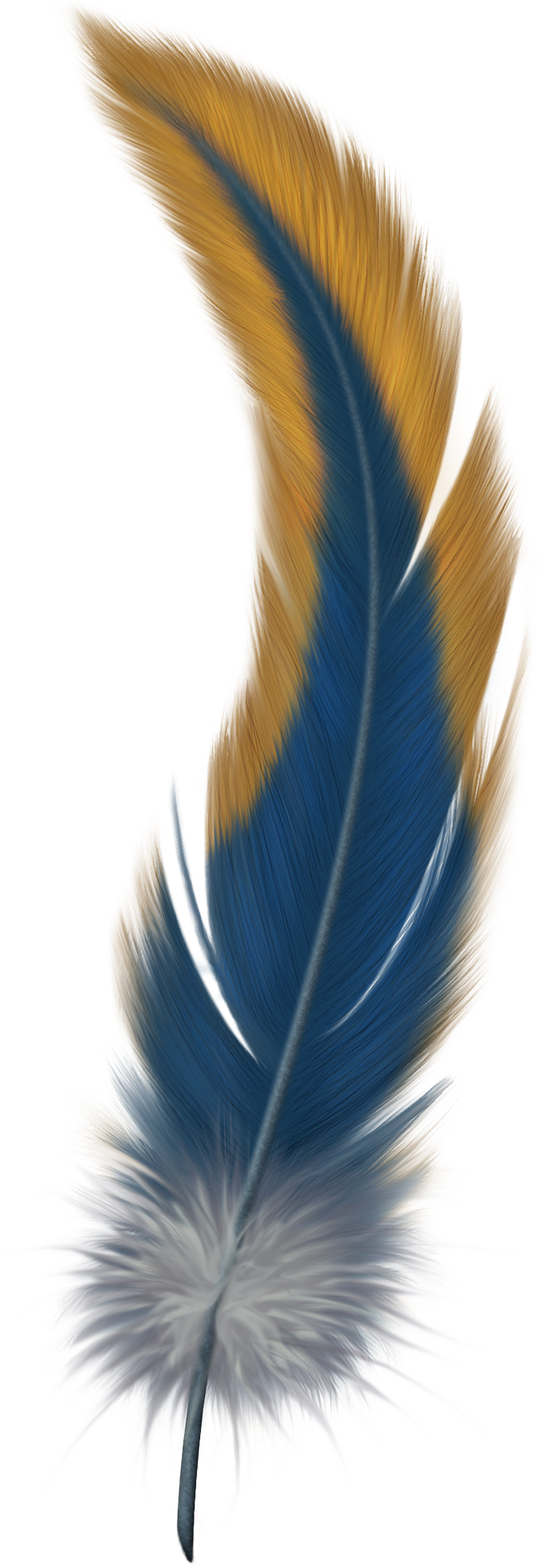 Watercolor Feather, Feather Painting, Feather Art, - Feather Png (442x1280), Png Download